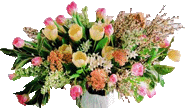 �ڍׂ̓N���b�N���Ă��������B