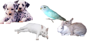 �ڍׂ̓N���b�N���Ă��������B